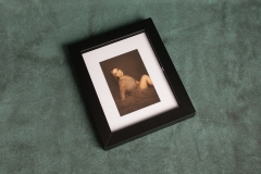Renata Clarke Photography premium printed art products